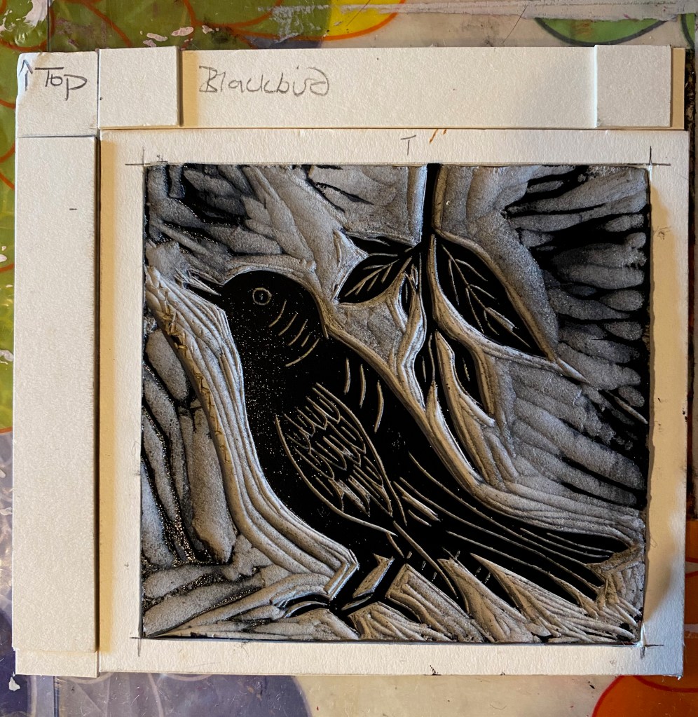 Susi Bancroft
Blackbird lino cut